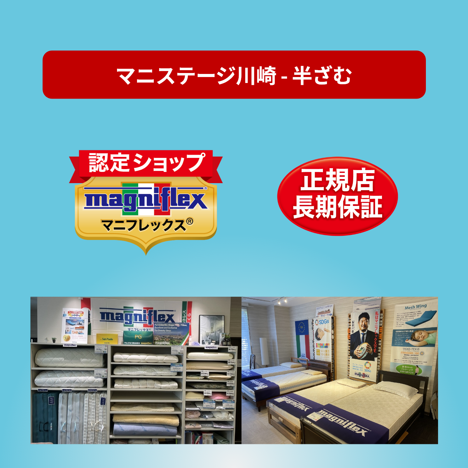 DDウィング | マニフレックス(Magniflex) – 快眠寝具専門店半ざむ DDウィング | マニフレックス(Magniflex) – 快眠寝具専門店半ざむ